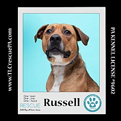 Thumbnail photo of Russell (Dream House Duo) 041523 #3