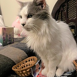 Photo of Sweetie Rayburn