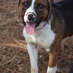 Photo of Crockett