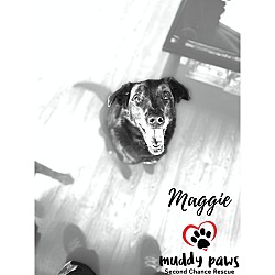 Thumbnail photo of Maggie (Courtesy Post) #2