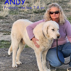 Thumbnail photo of ANDY #1