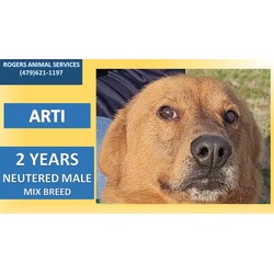 Photo of ARTI