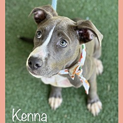 Thumbnail photo of KENNA #2