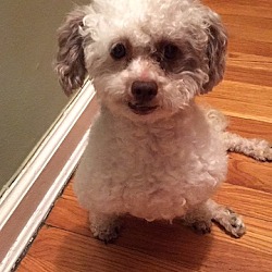 Photo of Charlie