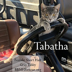 Thumbnail photo of Tabatha #4