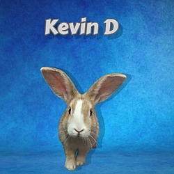 Thumbnail photo of Kevin D #1