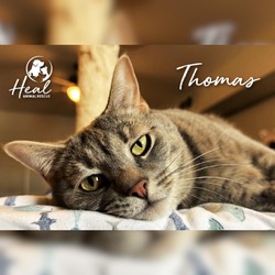 Thumbnail photo of Thomas #1
