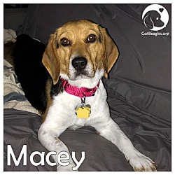 Thumbnail photo of Macey #1