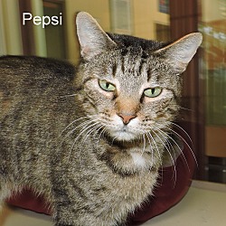 Thumbnail photo of Pepsi #1