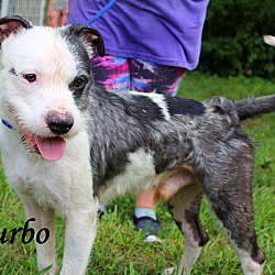 Thumbnail photo of Turbo~SO CUTE~ #4