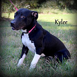Thumbnail photo of Kylee ~ meet me! #3