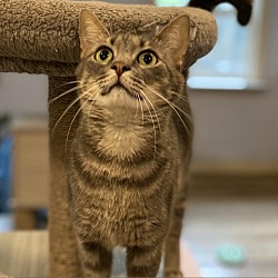Photo of Elsa