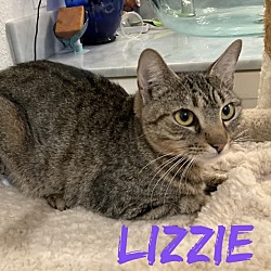 Thumbnail photo of Lizzie #1