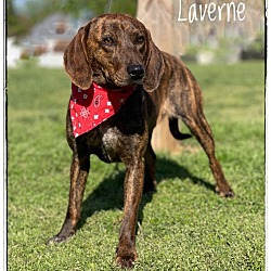 Photo of Laverne
