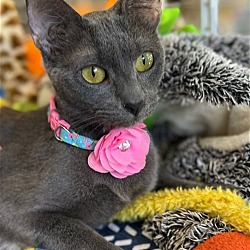Photo of Darla
