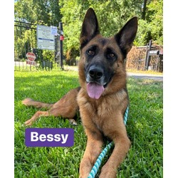 Photo of Bessy