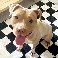 Photo of Nala