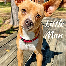 Photo of Little Man