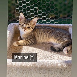 Photo of Maribel