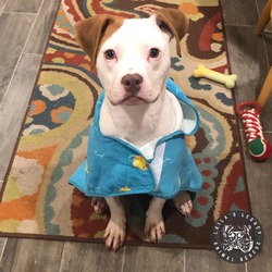 Photo of Roscoe