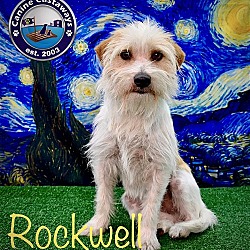 Thumbnail photo of Rockwell #3