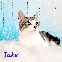 Photo of Jake