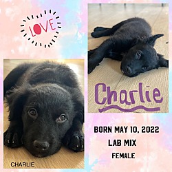 Photo of CHARLIE BORN 5/10/22