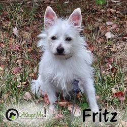 Thumbnail photo of FRITZ #2