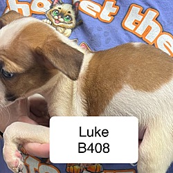 Thumbnail photo of Luke B408 #2