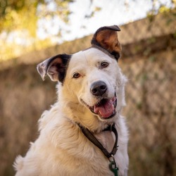 Photo of Winnie