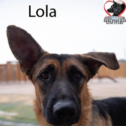 Thumbnail photo of Lola #3
