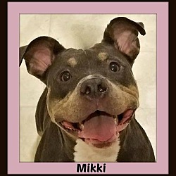 Thumbnail photo of Mikki #4