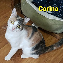 Thumbnail photo of Carina #1