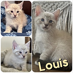 Photo of Louis
