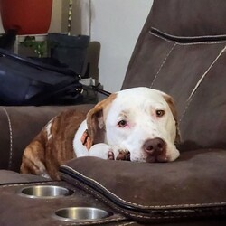 Photo of Pumpkin