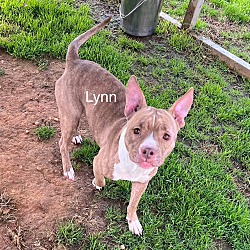 Photo of Lynn