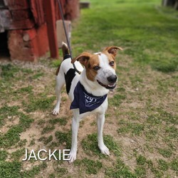 Photo of Jackie