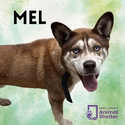 Thumbnail photo of Mel #1