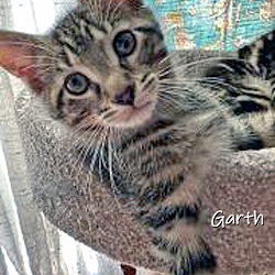 Thumbnail photo of Garth #1