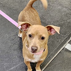Photo of Bella