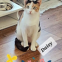 Photo of Daisy G