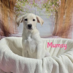 Photo of Mumsy