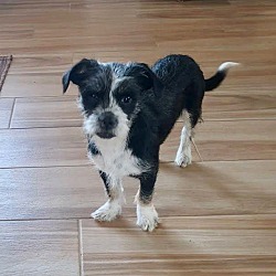 Photo of Willy