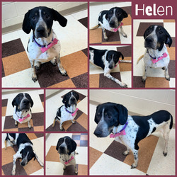 Photo of Helen