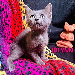Photo of Brynn