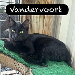 Thumbnail photo of Vandervoort #1