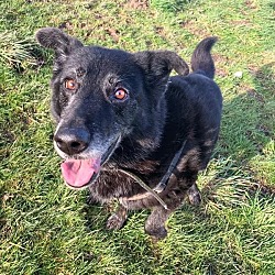 Photo of Maggie