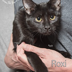 Photo of roxy