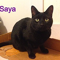 Thumbnail photo of Saya #3