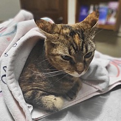 Photo of Lucy